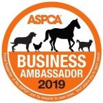 Calming Anxiety Shirt for Dogs - Extra Small