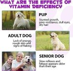 15-in-1 Natural Dog Multivitamin Drops for Health