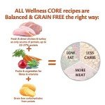 Wellness CORE Chicken & Turkey Dry Dog Food