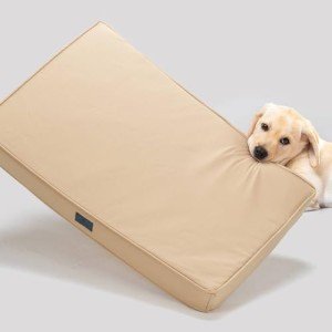 Indestructible Extra Large Chew Proof Dog Bed