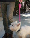 Taglory 5m Retractable Dog Leash - Pink