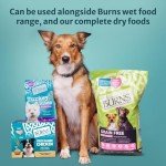 Burns Pet Nutrition Hypo-Allergenic Dog Mixer 2kg