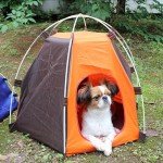 Minkissy Indoor/Outdoor Dog House for Small Pets