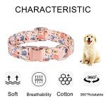 Adjustable Orange Dog Collar with Bow Tie