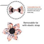 Adjustable Orange Dog Collar with Bow Tie
