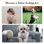 Adjustable Orange Dog Collar with Bow Tie