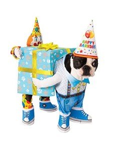 Medium Dog Birthday Present Costume by Rubies