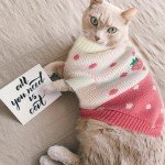 Pink Strawberry Pet Sweater for Dogs and Cats