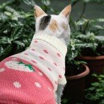 Pink Strawberry Pet Sweater for Dogs and Cats