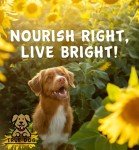 True Dog Boswellia Powder 250g - Joint Support for Pets