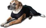 Comfort Jacket for Dogs - Soothing FIR Relief