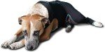 Comfort Jacket for Dogs - Soothing FIR Relief