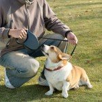 Retractable Dog Leash - 7.5m, Up to 50kg