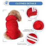 Cozy Dog Hoodie for All Seasons and Sizes