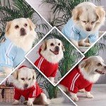 Cozy Dog Hoodie for All Seasons and Sizes