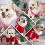 Cozy Dog Hoodie for All Seasons and Sizes