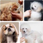 3-Piece Stainless Steel Grooming Scissors Set for Pets