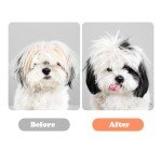 3-Piece Stainless Steel Grooming Scissors Set for Pets