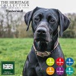 Ancol Timberwolf Leather Round Dog Training Collar