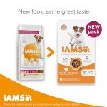 IAMS Senior Dog Food for Small & Medium Breeds