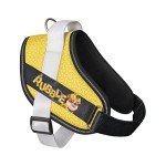 Julius-K9 Paw Patrol Dog Harness - Rubble, Size S