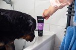 Animology Flea and Tick Shampoo for Dogs 250ml