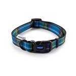 Blue Tartan Dog Collar (30-50cm)