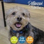 Blue Tartan Dog Collar (30-50cm)