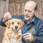 Blue Rubber Dog Grooming Brush for Shedding