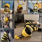 Funny Bumblebee Hoodie for Dogs and Cats