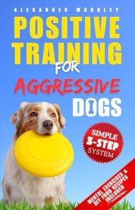 Positive Training for Aggressive Dogs: 3-Step System