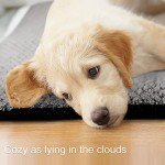 Onarway Large Washable Dog Bed Mat - Grey