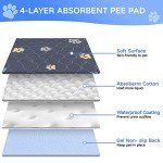 Reusable Waterproof Dog Training Pads - Set of 2