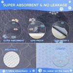 Reusable Waterproof Dog Training Pads - Set of 2