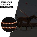 Reflective Dog Training Lead with Padded Handle