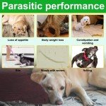 Natural Soft Chews for Dogs – 150 Count