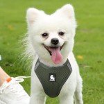 Soft Air Mesh Adjustable Dog Harness - Moss Green