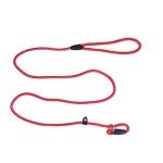 SEWOART Durable Nylon Dog Training Leash for Medium/Large Dogs