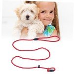 SEWOART Durable Nylon Dog Training Leash for Medium/Large Dogs