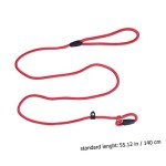 SEWOART Durable Nylon Dog Training Leash for Medium/Large Dogs