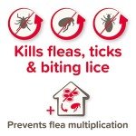 Beaphar FIPROtec® Combo for Large Dogs - 6 Pipettes