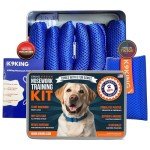 Dog Training Scent Kit with Puzzle Box