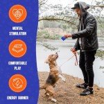 Dog Training Scent Kit with Puzzle Box