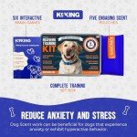 Dog Training Scent Kit with Puzzle Box