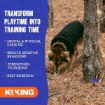 Dog Training Scent Kit with Puzzle Box