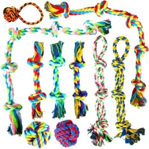 10 Pack Indestructible Dog Toys - Rope & Balls