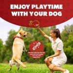 10 Pack Indestructible Dog Toys - Rope & Balls