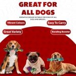 10 Pack Indestructible Dog Toys - Rope & Balls