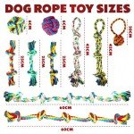 10 Pack Indestructible Dog Toys - Rope & Balls