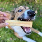 Natural Himalayan Yaky Chews for Dogs - 4 Pack